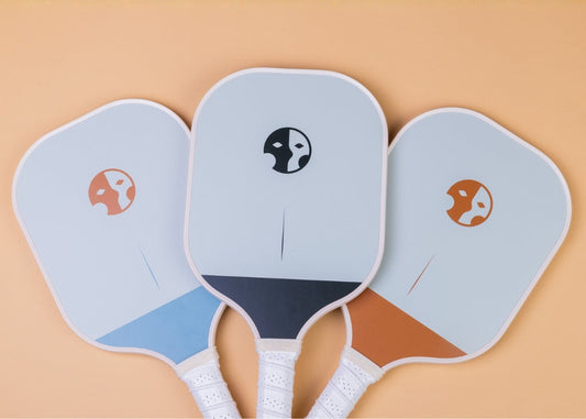 Best Pickleball Accessories Starter Kit for Beginners Under $75
