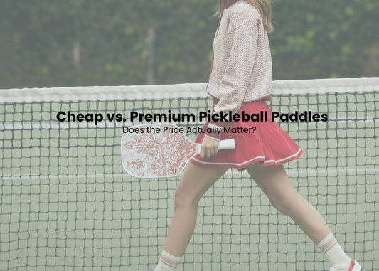 Cheap vs. Premium Pickleball Paddles: Does the Price Actually Matter?